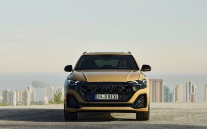 2024 Audi Q8 TFSI 50