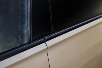 2024 Audi Q8 TFSI 99