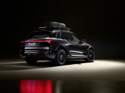 2024 Audi Q8 e-tron Dakar Edition 4