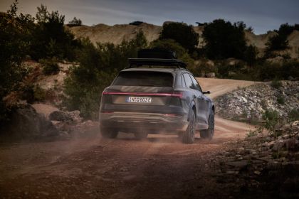 2024 Audi Q8 e-tron Dakar Edition 30