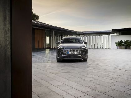 2025 Audi SQ6 e-tron 20
