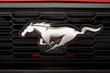 2010 Ford Mustang 88