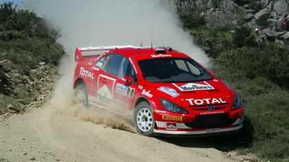 2005 Peugeot 307 WRC 9