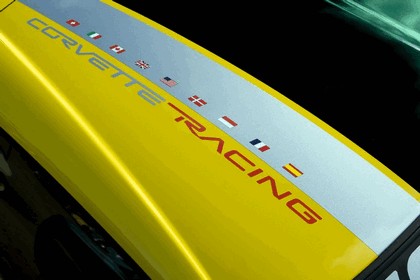 2009 Chevrolet Corvette C6 GT1 Championship edition 13
