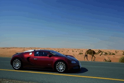2009 Bugatti Veyron Centenaire 4