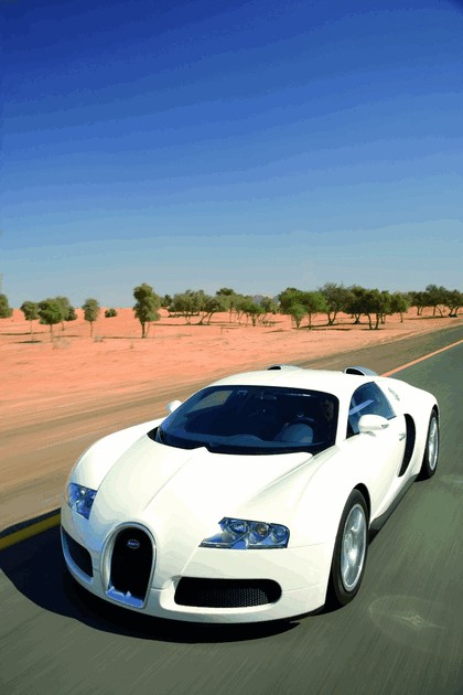 2009 Bugatti Veyron Centenaire 51