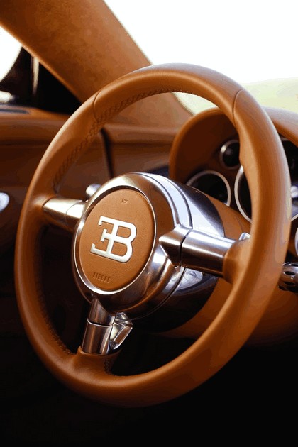 2009 Bugatti Veyron Centenaire 69
