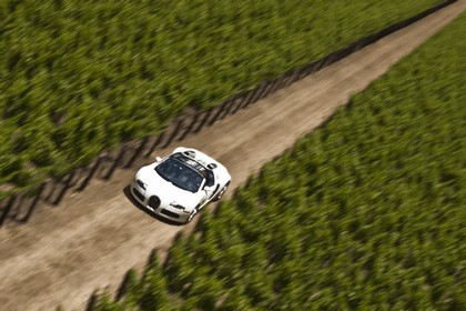 2009 Bugatti Veyron 16.4 Grand Sport - Napa Valley 9