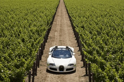 2009 Bugatti Veyron 16.4 Grand Sport - Napa Valley 10