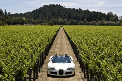 2009 Bugatti Veyron 16.4 Grand Sport - Napa Valley 11