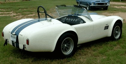 1963 Shelby Cobra 289 3