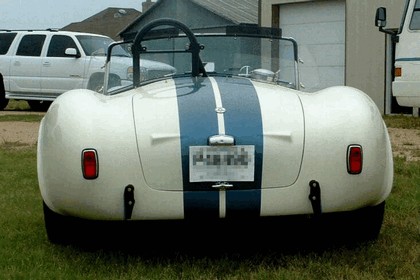 1963 Shelby Cobra 289 5