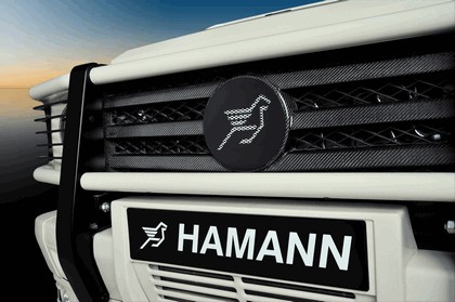 2009 Mercedes-Benz G-klasse by Hamann 16