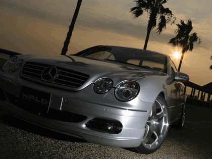 2004 Mercedes-Benz CL600 by Wald 4