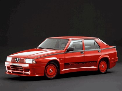 1987 Alfa Romeo 75 ( 162 ) 1.8i Turbo Evoluzione 1