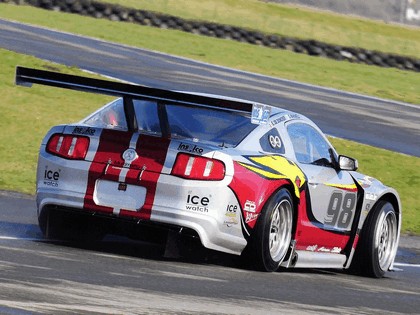 2010 Ford Mustang GT3 10