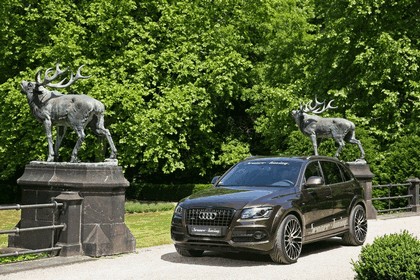 2011 Audi Q5 by Senner Tuning 5