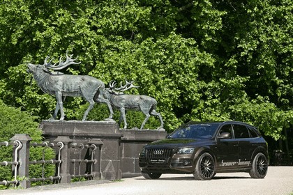 2011 Audi Q5 by Senner Tuning 7