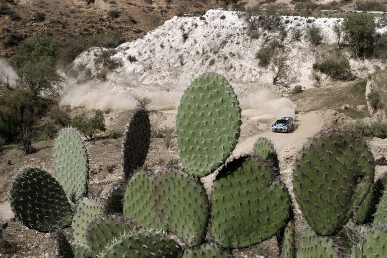 2012 Ford Fiesta WRC - rally of Mexico 342285