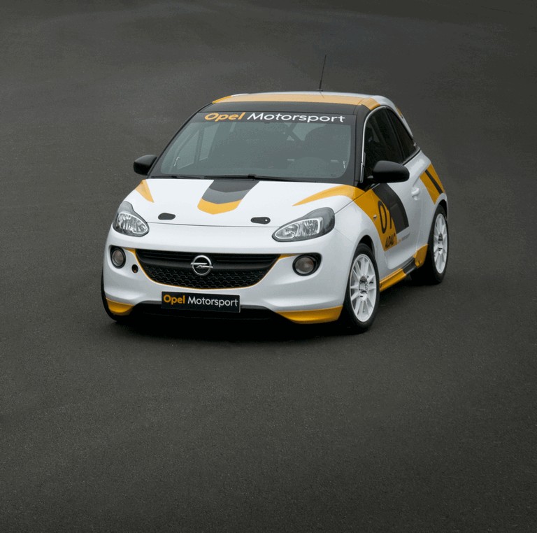 2013 Opel Adam Cup 366557