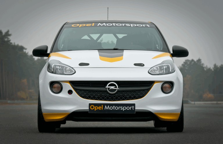 2013 Opel Adam Cup 366559