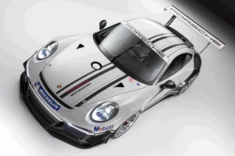 2013 Porsche 911 ( 991 ) GT3 Cup 367552