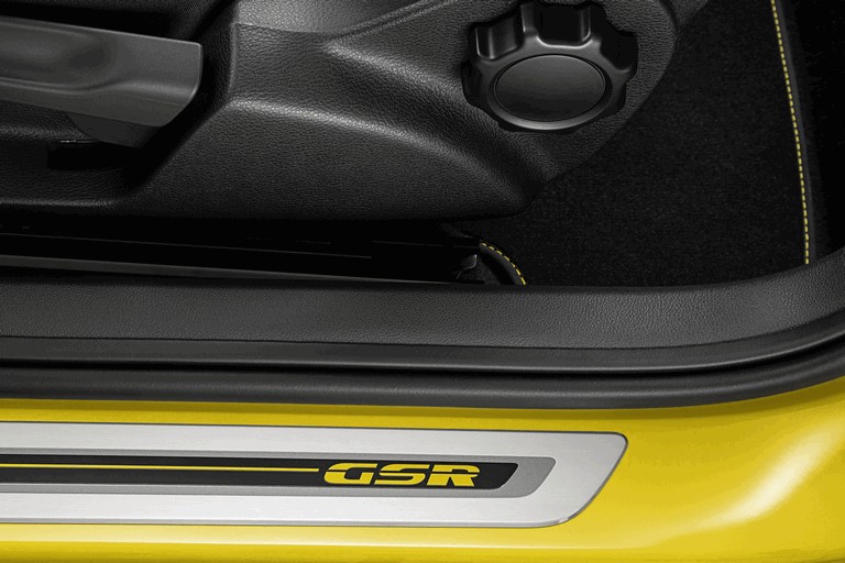 2013 Volkswagen Beetle GSR Limited Edition 373917