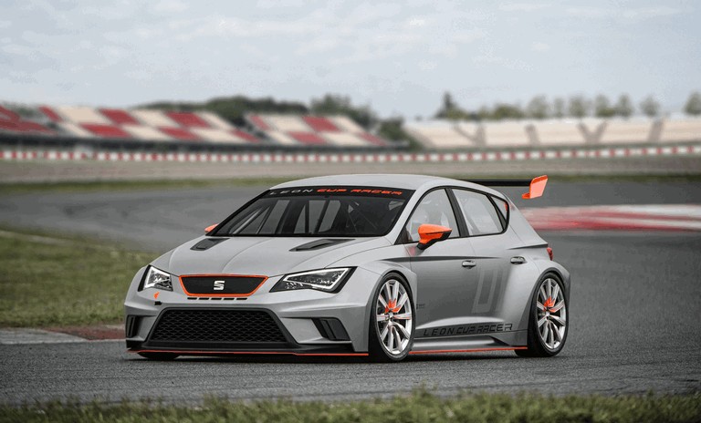 2013 Seat Leon Cup Racer 383880