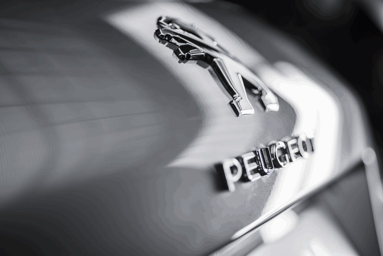2013 Peugeot 308 5-door 398682