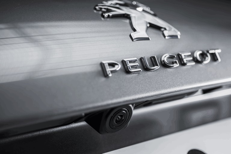 2013 Peugeot 308 5-door 398685