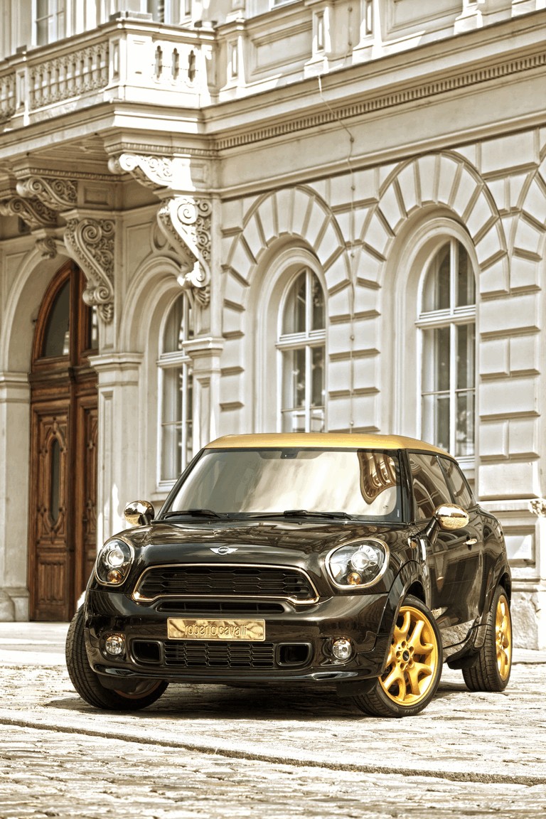 2013 Mini Paceman Cooper S by Roberto Cavalli for Life Ball 385818