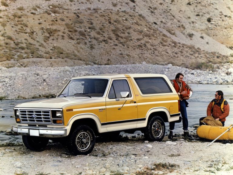 1980 Ford Bronco 592018