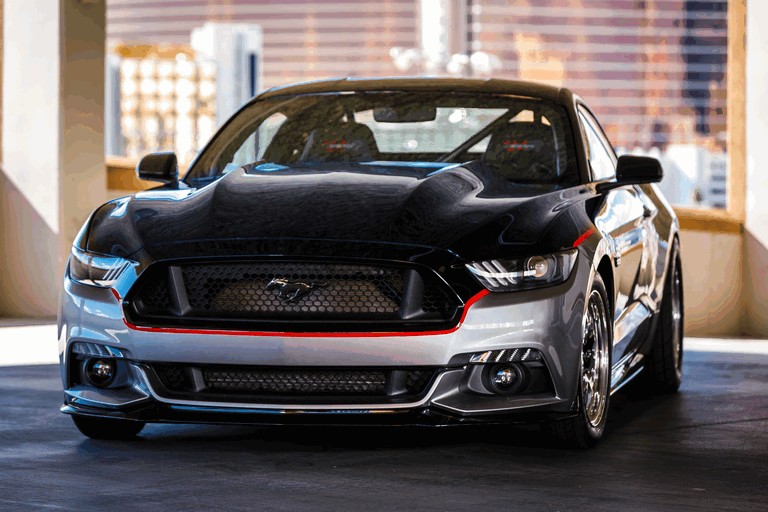2014 Ford Mustang by Watson Racing 421287