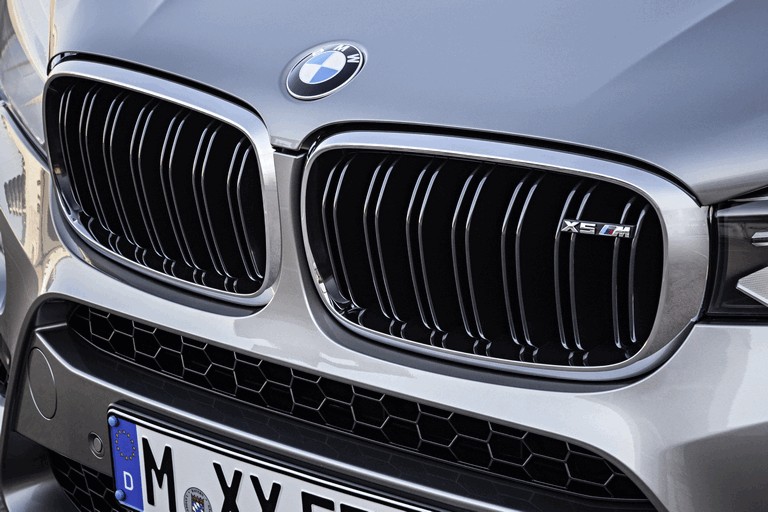 2015 BMW X5 M 423146