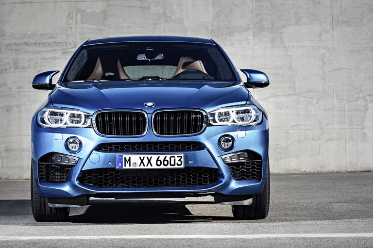 2015 BMW X6 M 423163
