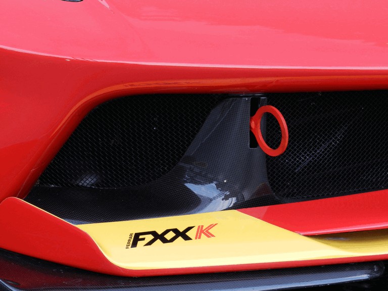 2015 Ferrari FXX K - Parco del Valentino di Torino 429027