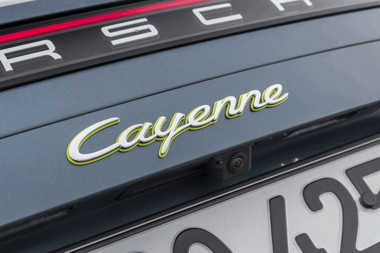 2019 Porsche Cayenne E-hybrid 491410