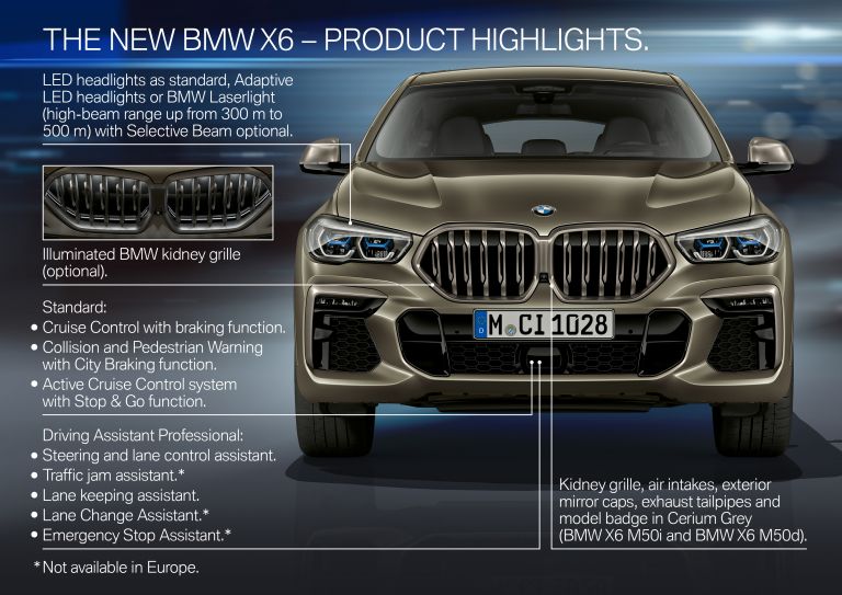 2019 BMW X6 ( G06 ) M50i 551068