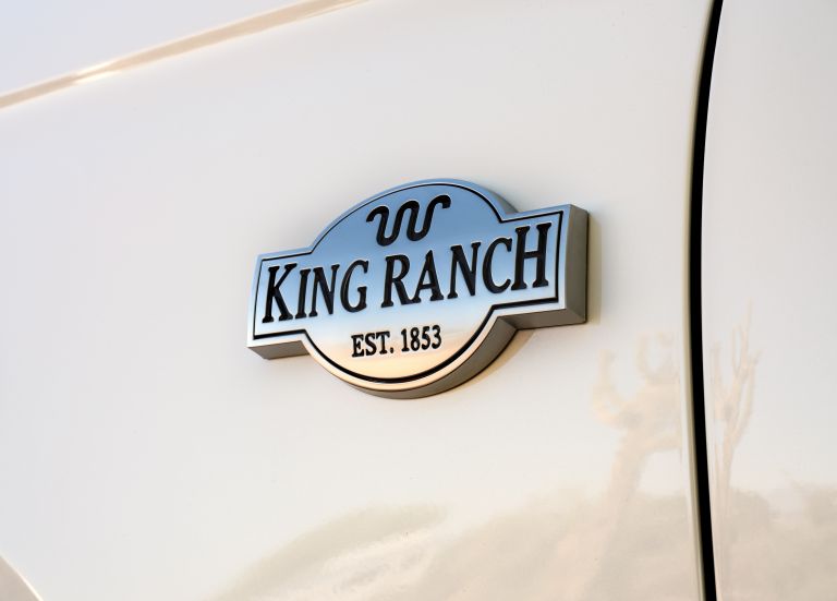 2020 Ford Expedition King Ranch edition 560213