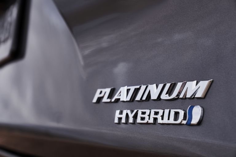 2021 Toyota Sienna Platinum 586282