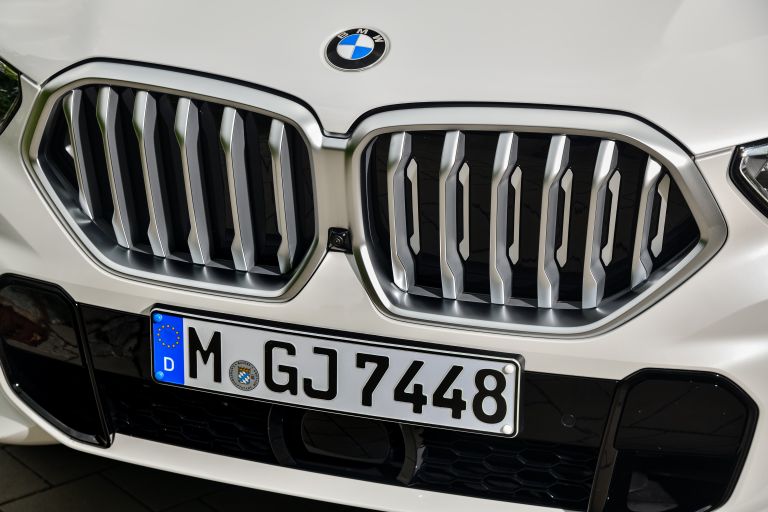 2020 BMW X6 ( G06 ) xDrive30d 587244