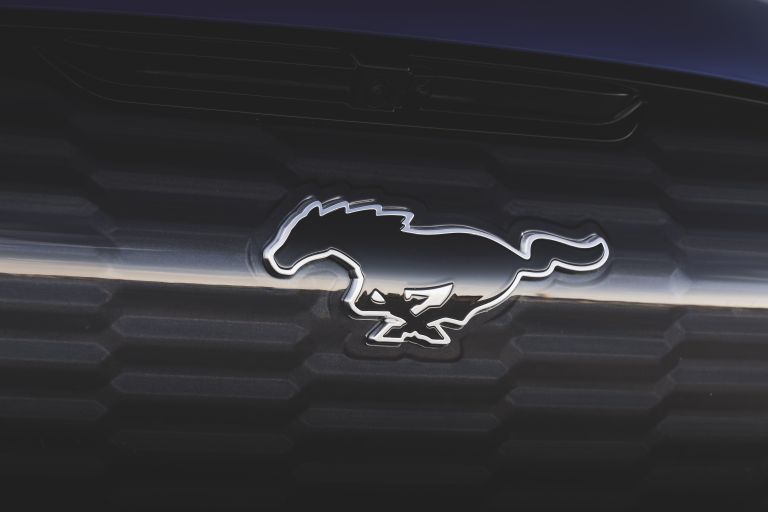 2021 Ford Mustang Mach-E GT 650462