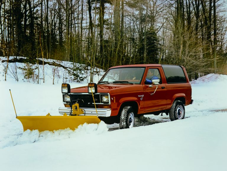 1984 Ford Bronco II 592228