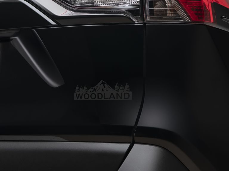 2023 Toyota RAV4 Hybrid Woodland Edition 677358
