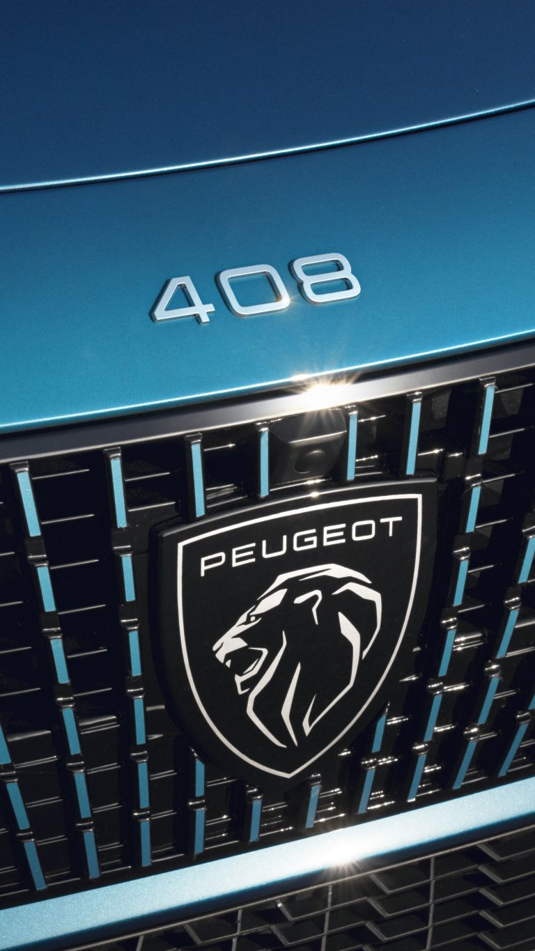 2023 Peugeot 408 679488
