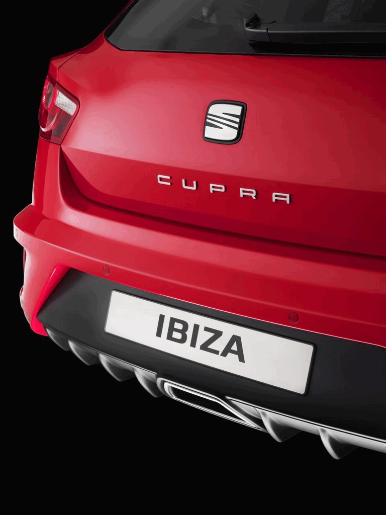 2008 Seat Ibiza CupRa 496945