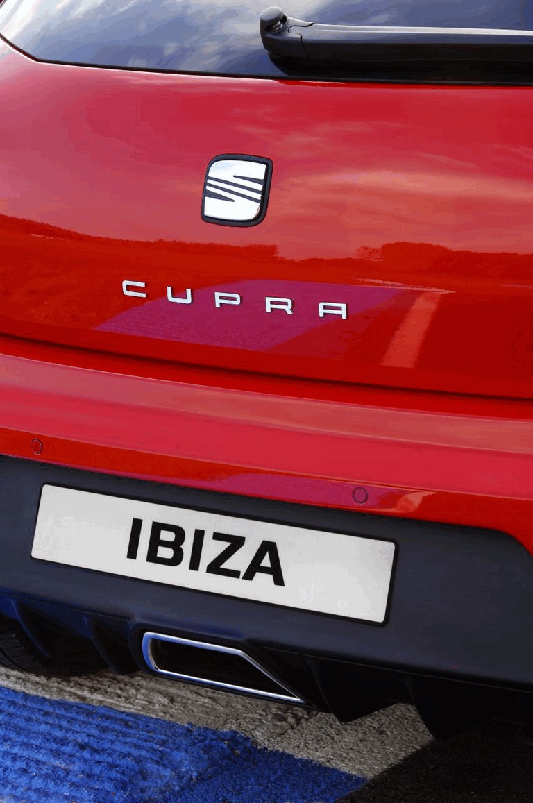 2008 Seat Ibiza CupRa 496946