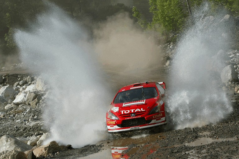 2005 Peugeot 307 WRC 245520