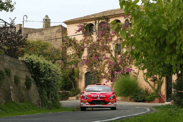 2005 Peugeot 307 WRC 245528