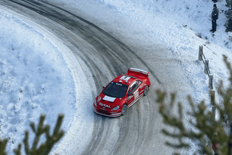 2004 Peugeot 307 WRC 245530